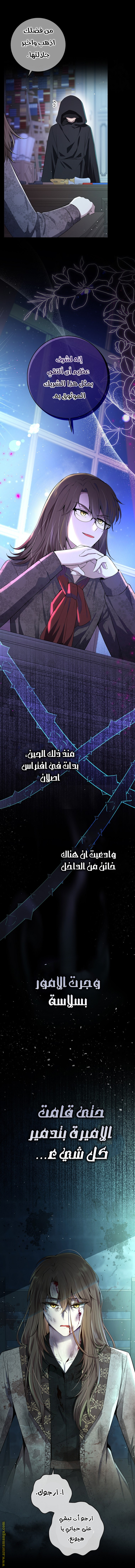الصفحة 13