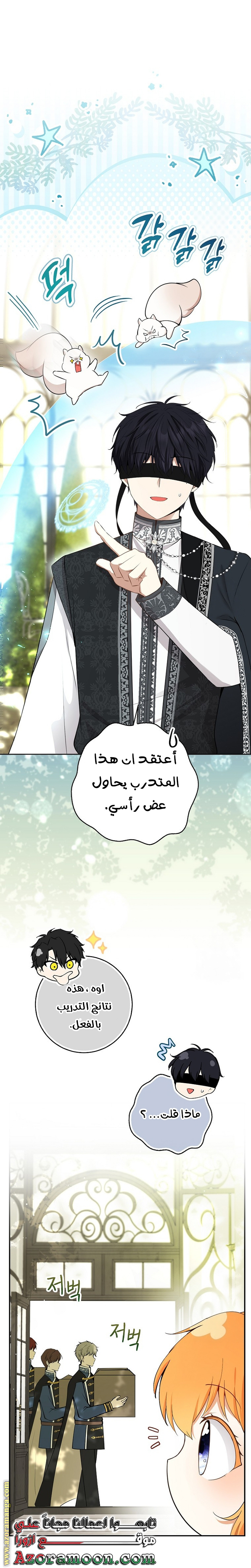 الصفحة 19