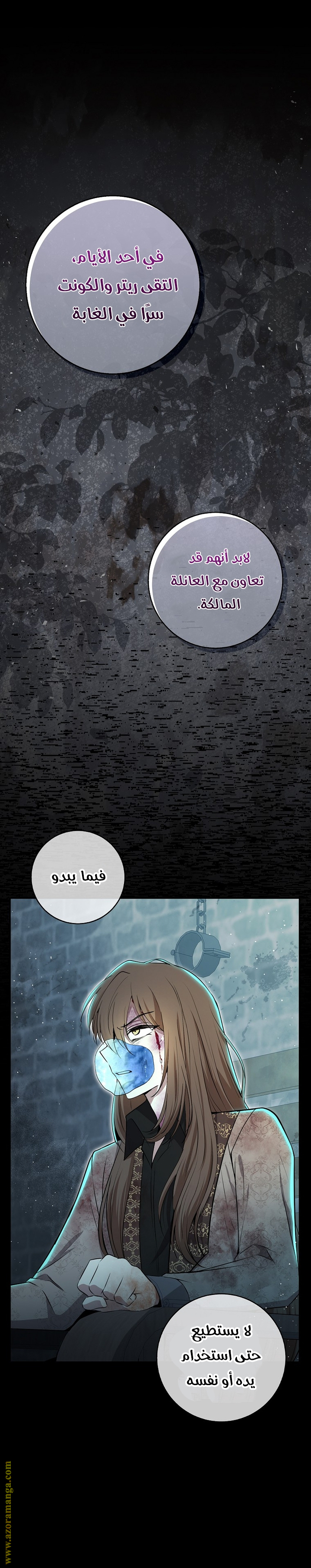 الصفحة 19