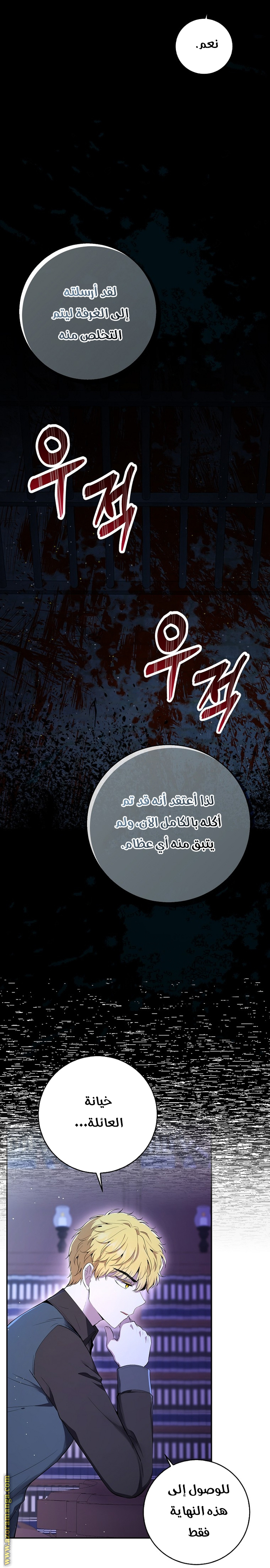الصفحة 17