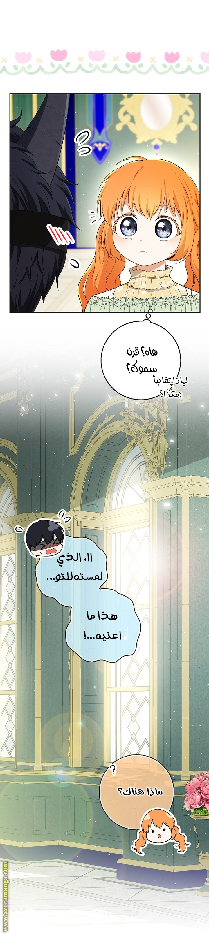 الصفحة 17