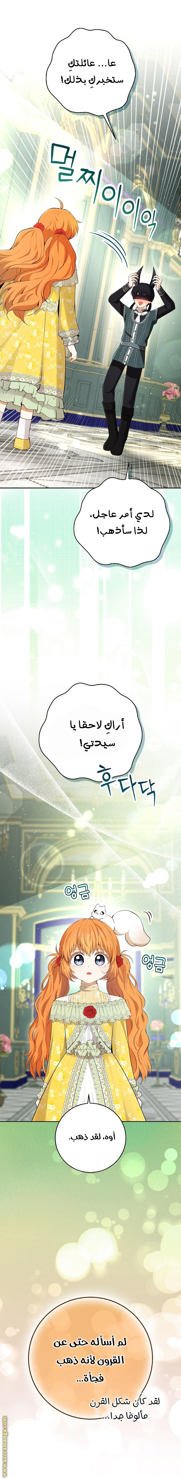 الصفحة 29