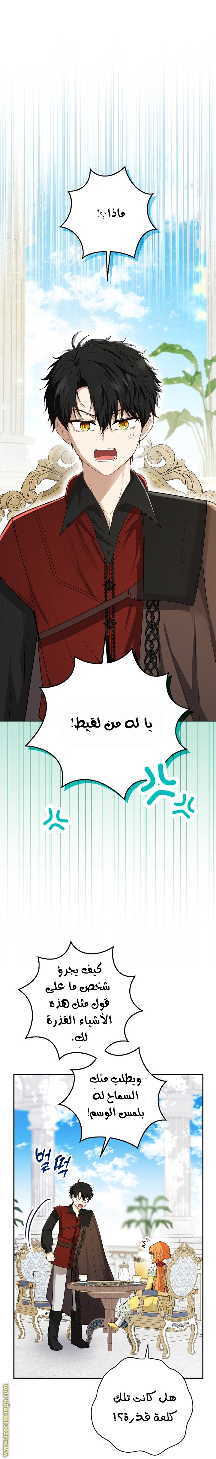 الصفحة 30