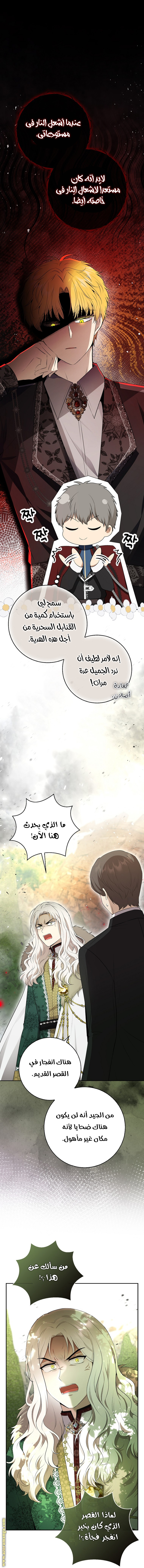 الصفحة 21