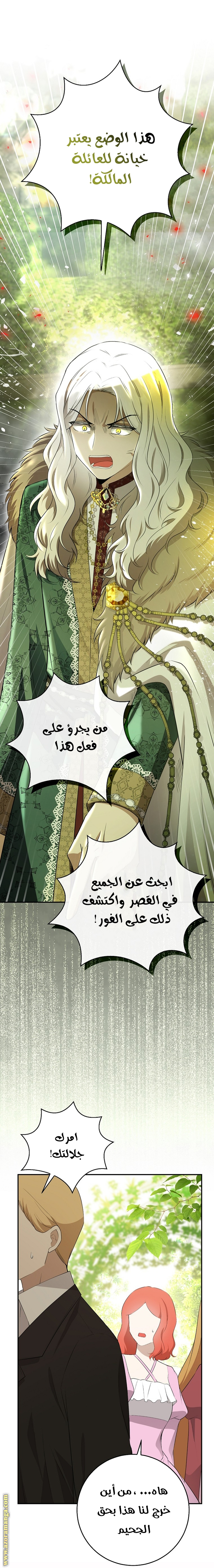 الصفحة 25