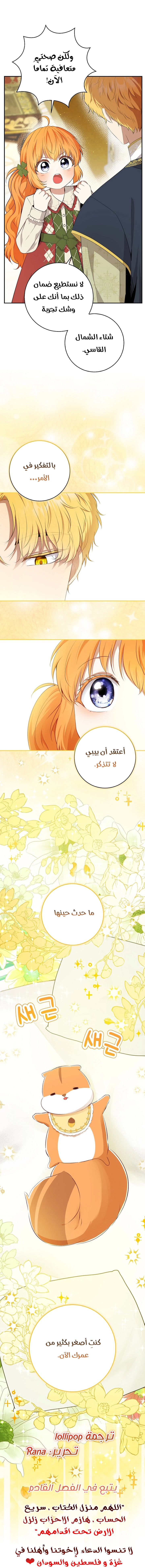 الصفحة 25