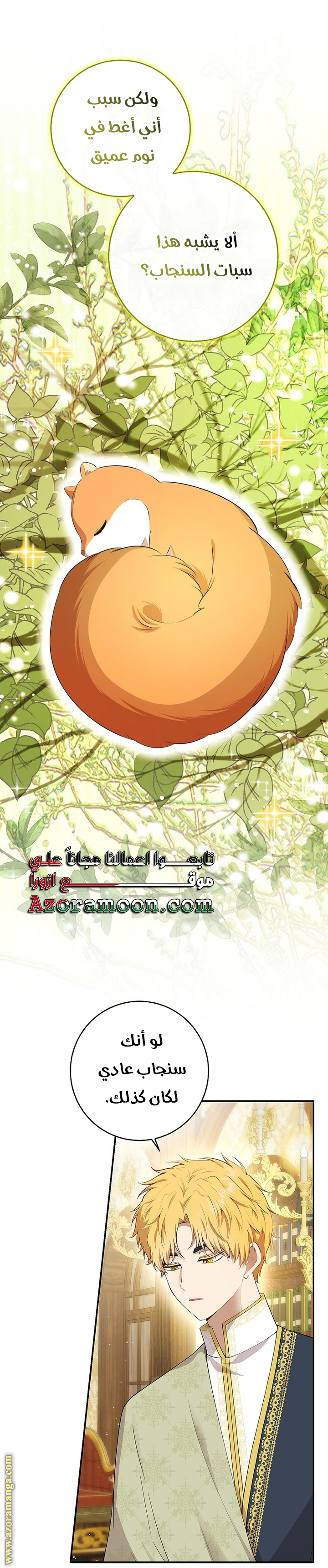 الصفحة 16