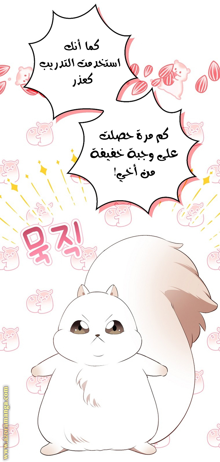 الصفحة 24