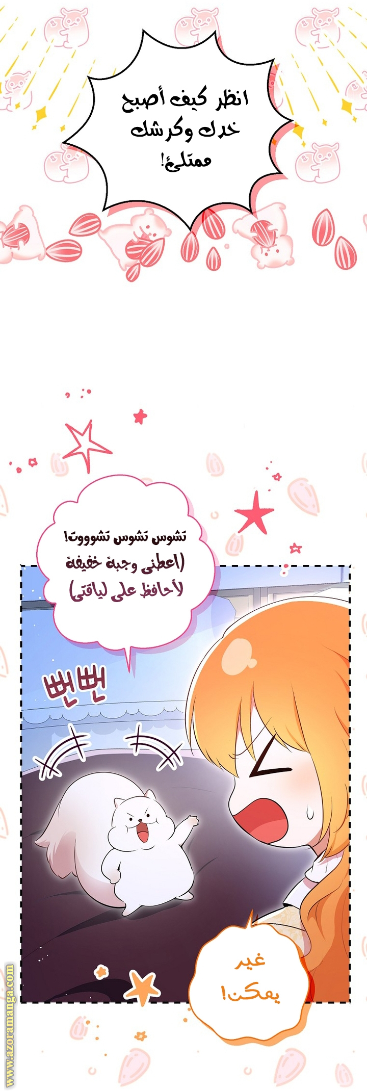 الصفحة 25