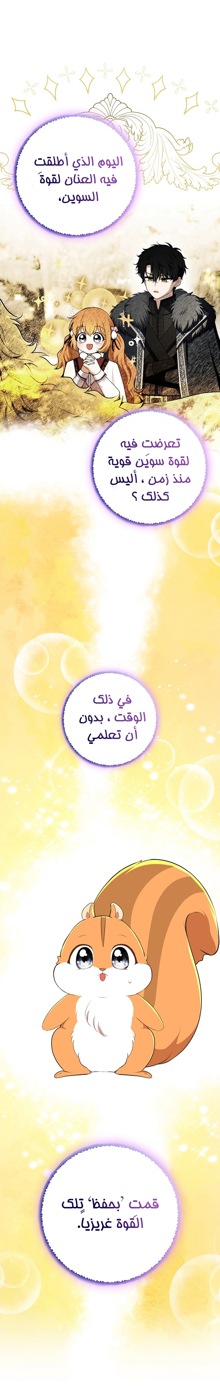الصفحة 17