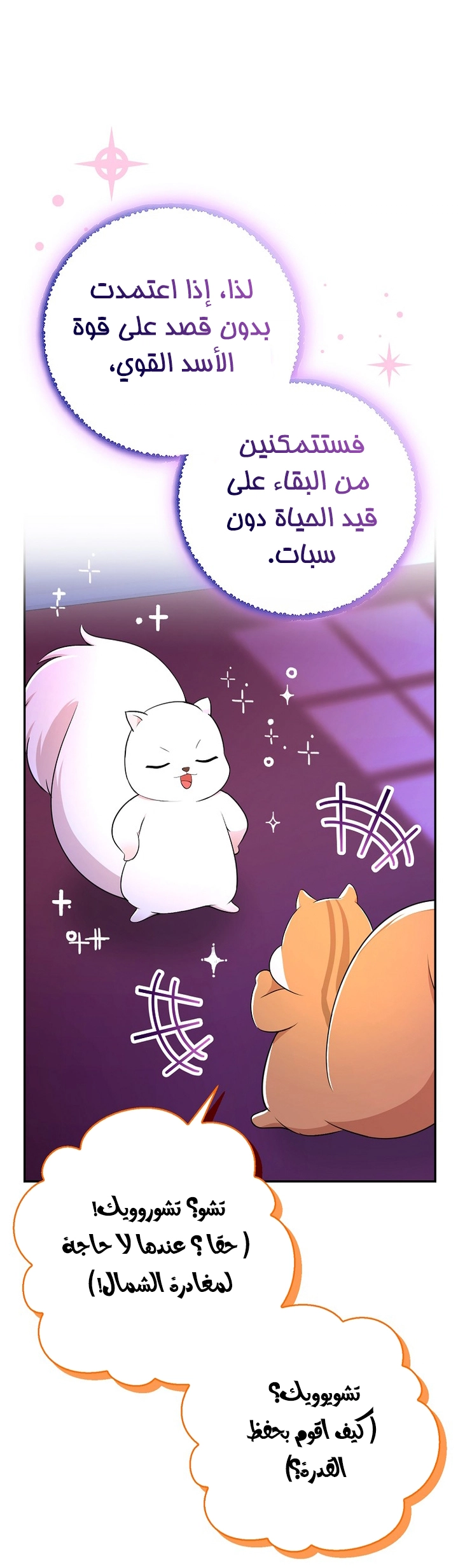 الصفحة 19