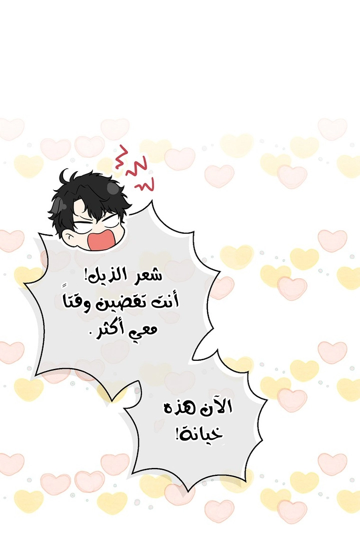الصفحة 30