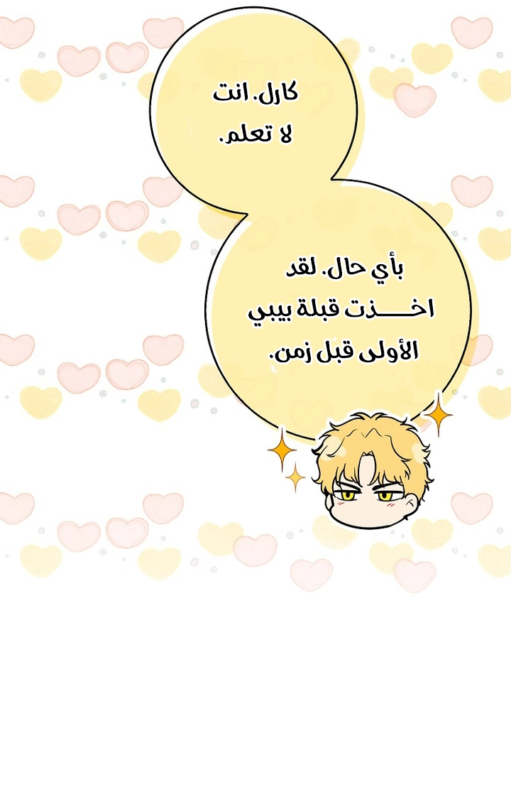 الصفحة 31