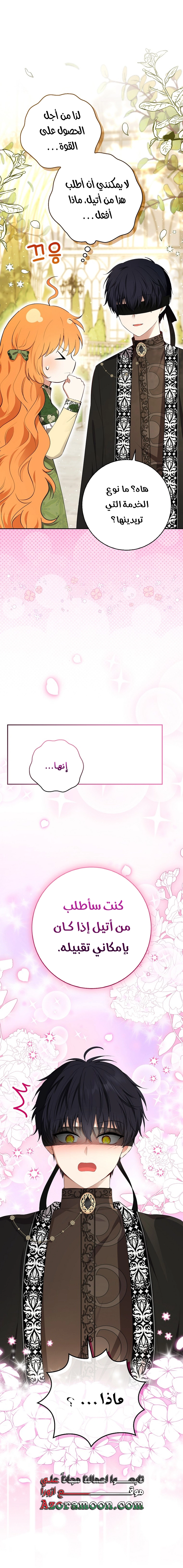 الصفحة 19