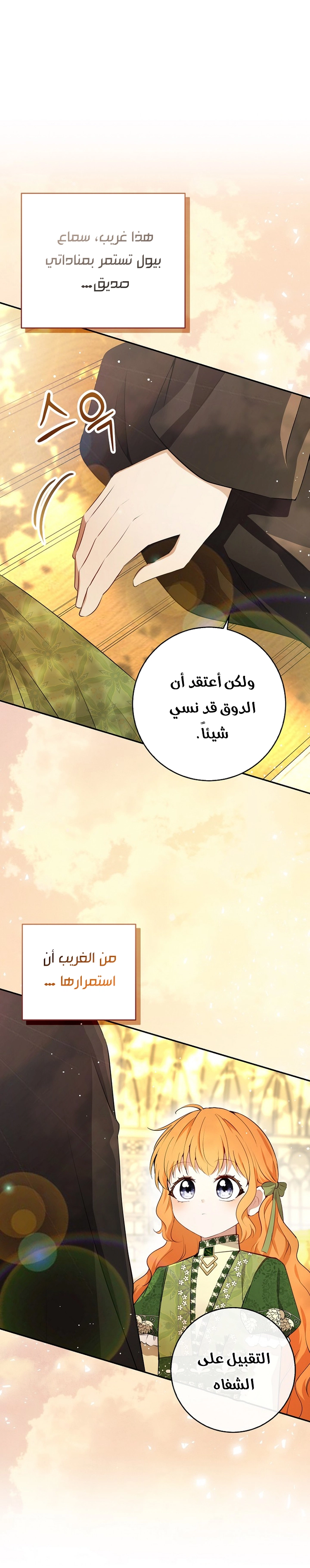 الصفحة 29