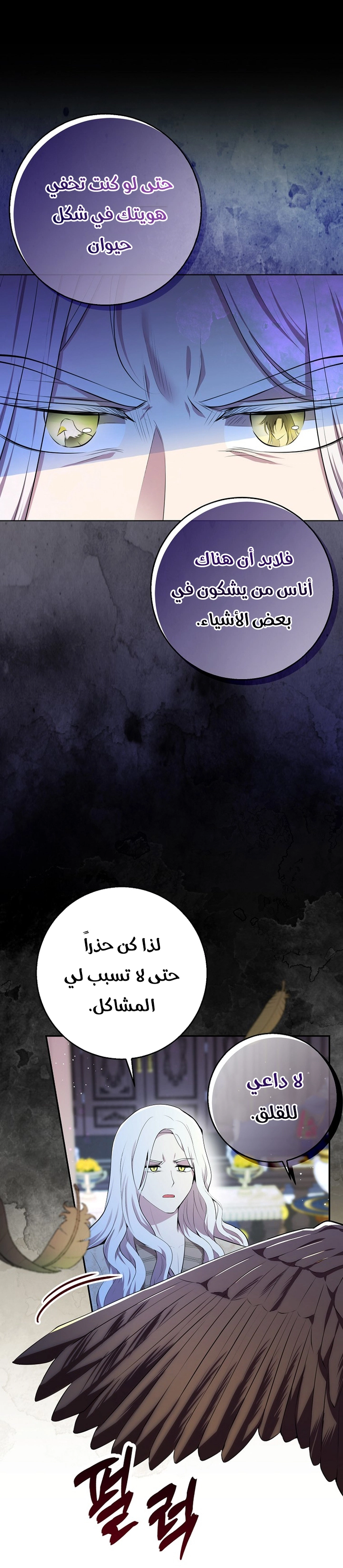 الصفحة 6