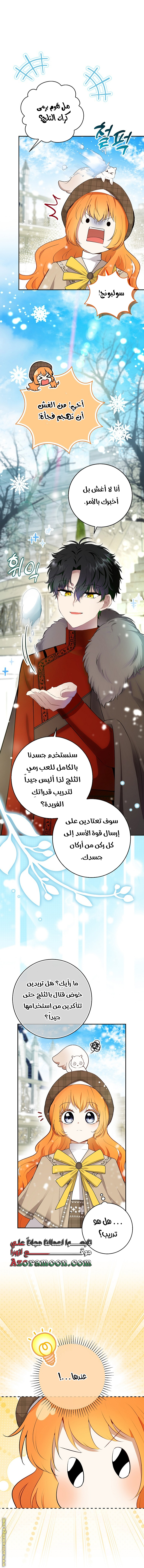 الصفحة 17