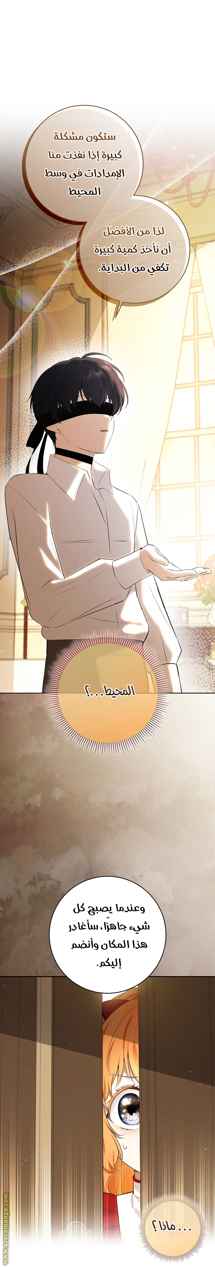 الصفحة 25