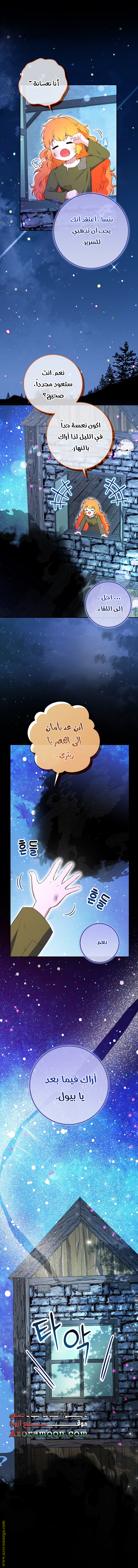 الصفحة 14
