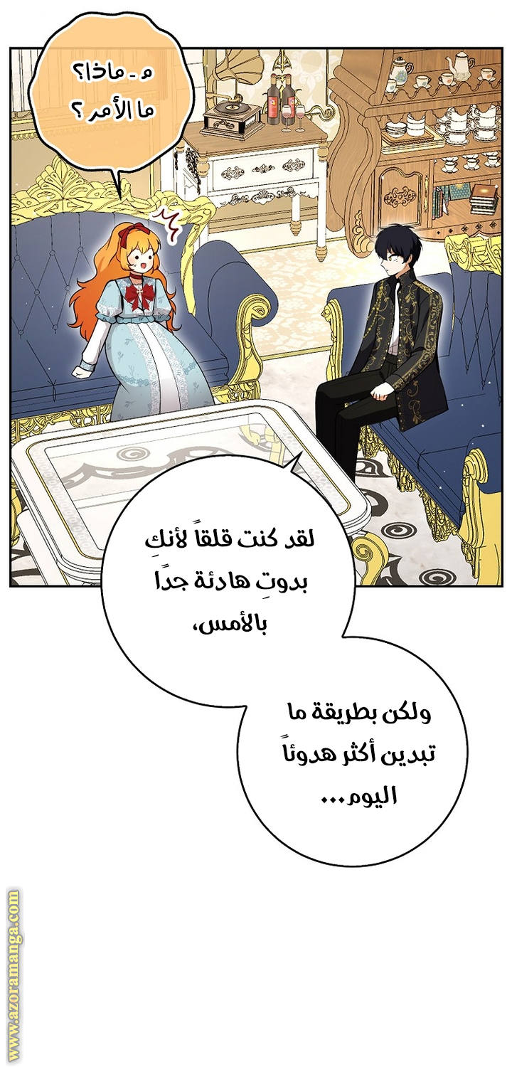 الصفحة 19