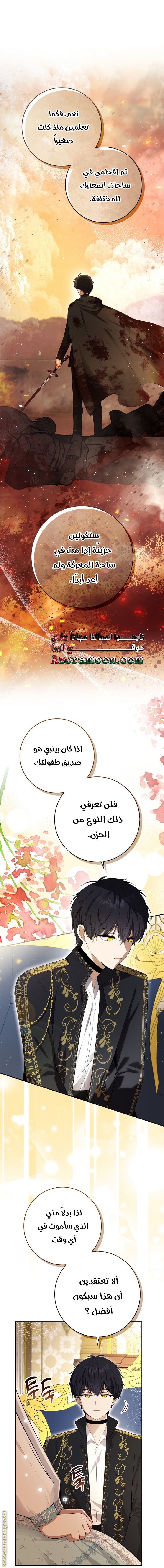الصفحة 26