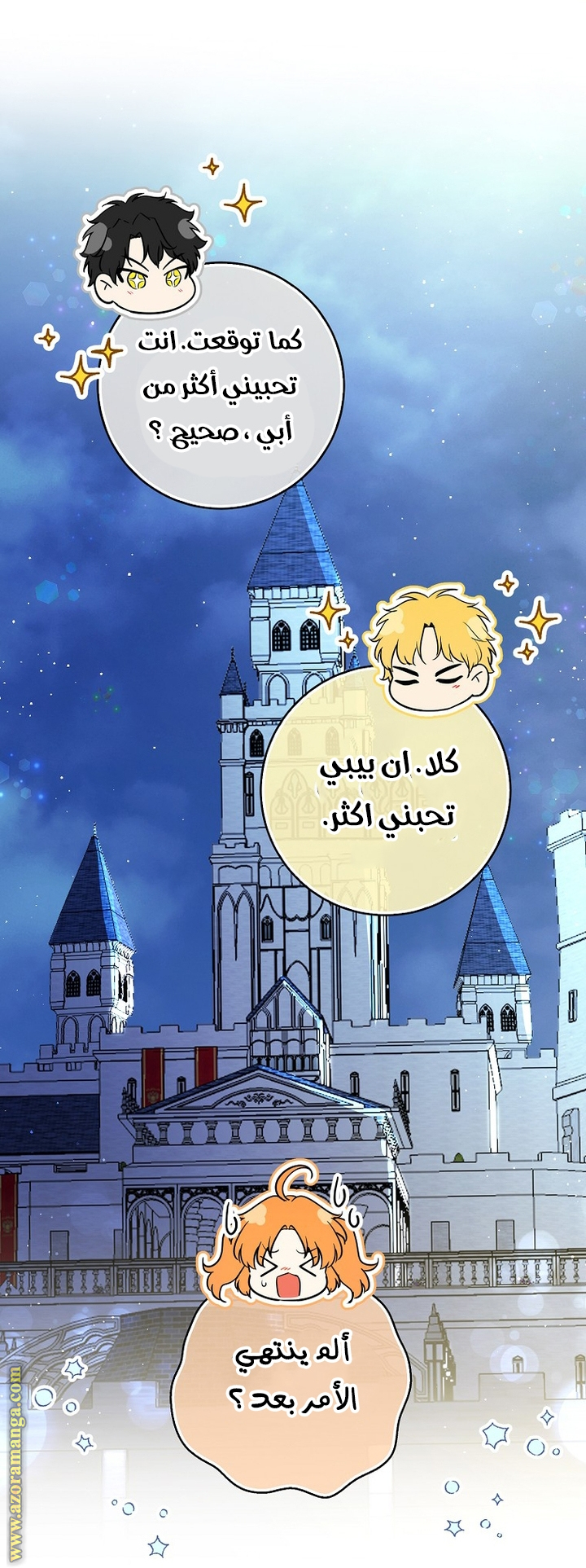 الصفحة 17
