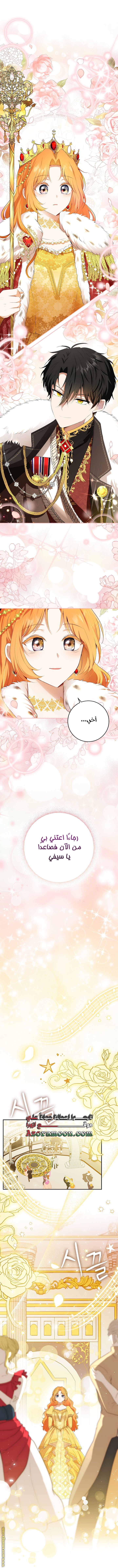 الصفحة 19