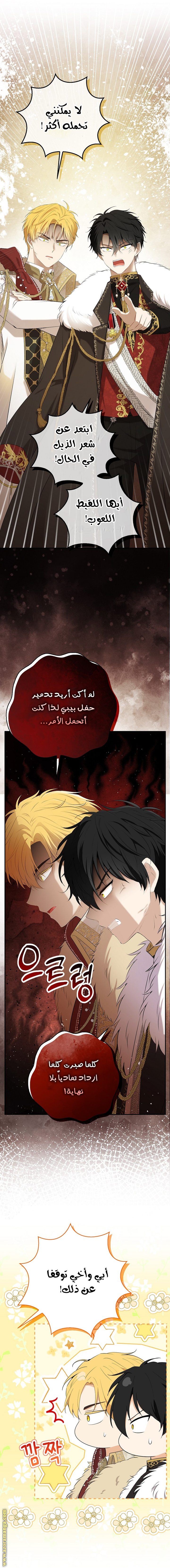 الصفحة 19