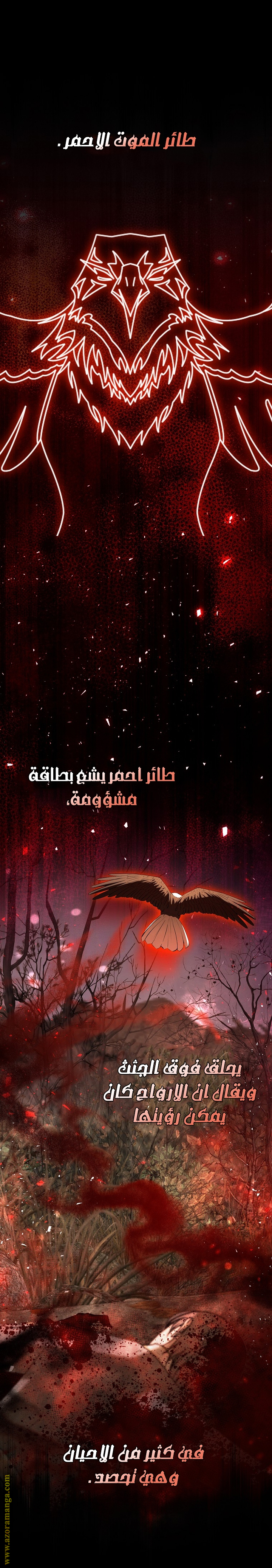 الصفحة 13