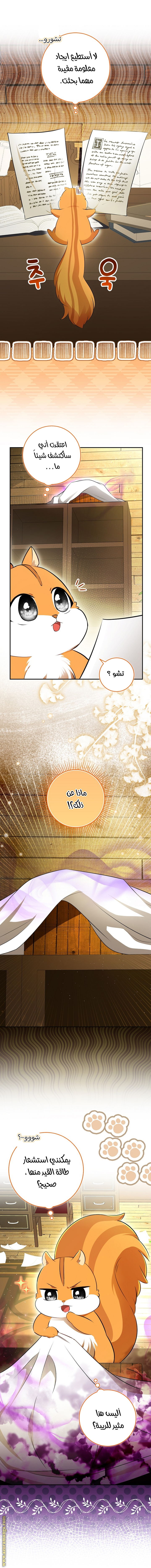 الصفحة 16