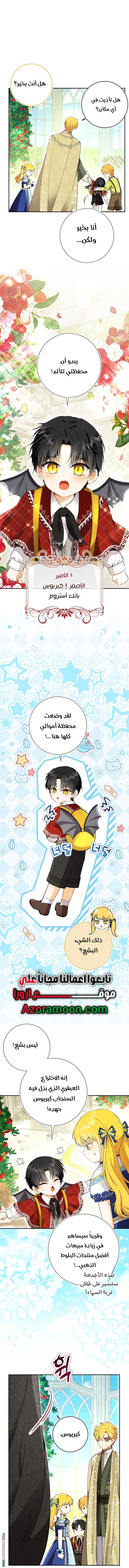 الصفحة 13
