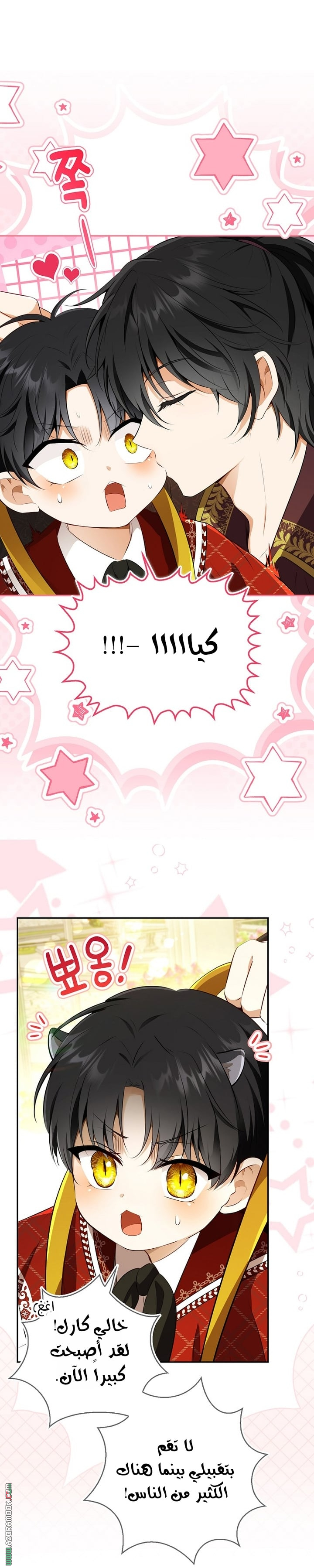 الصفحة 15