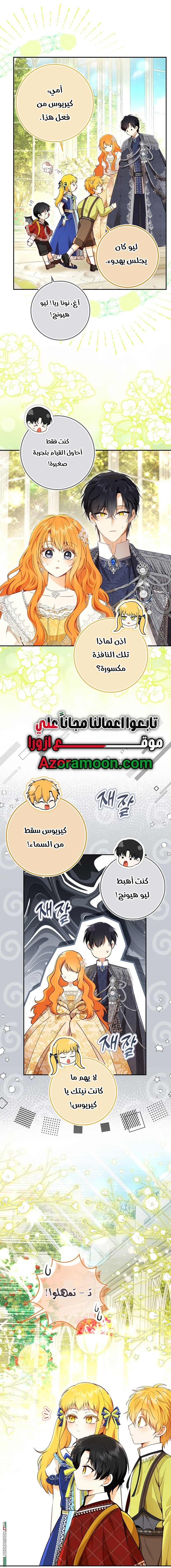الصفحة 17