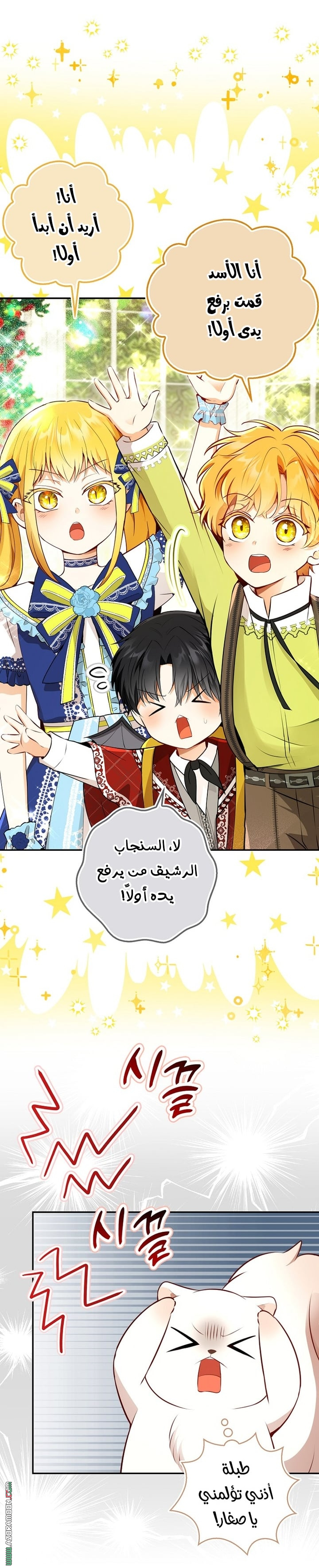 الصفحة 19