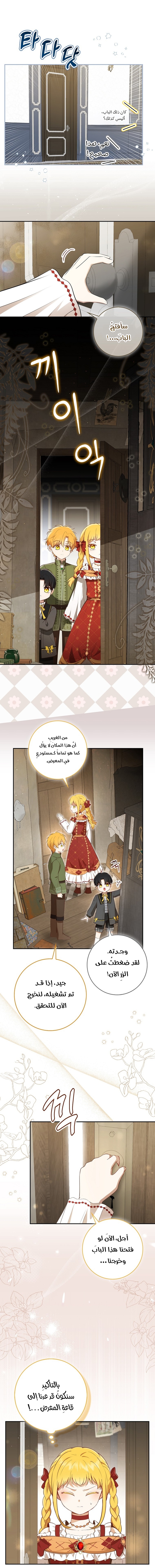 الصفحة 17