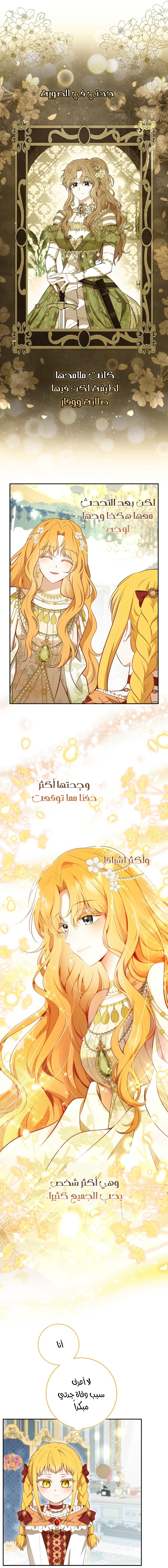 الصفحة 19