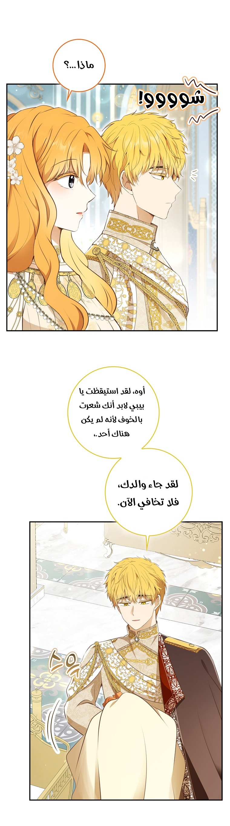 الصفحة 11