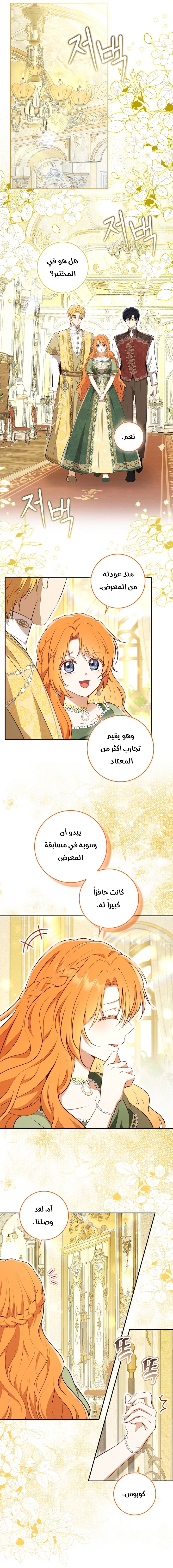 الصفحة 11