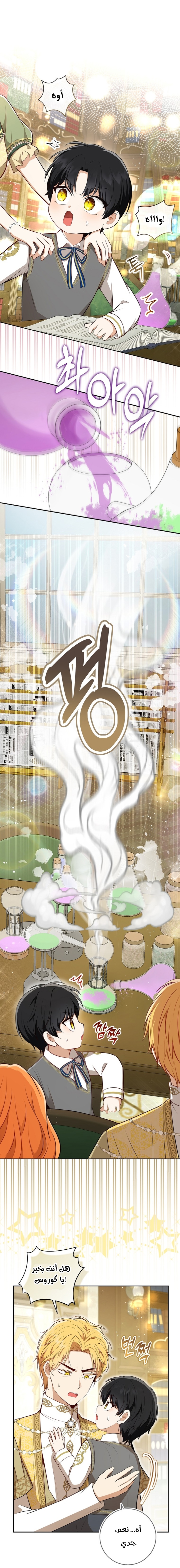 الصفحة 17