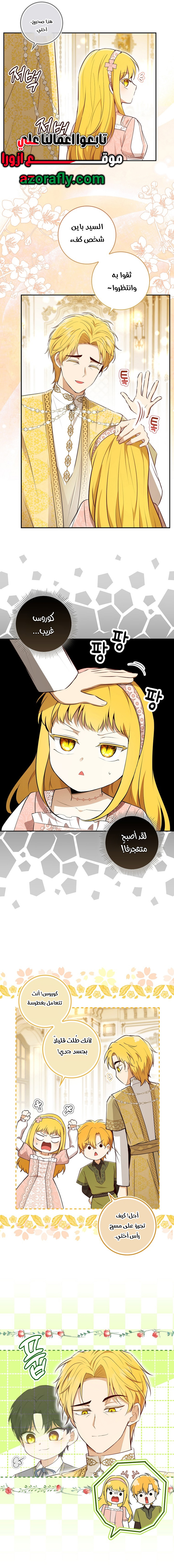 الصفحة 3