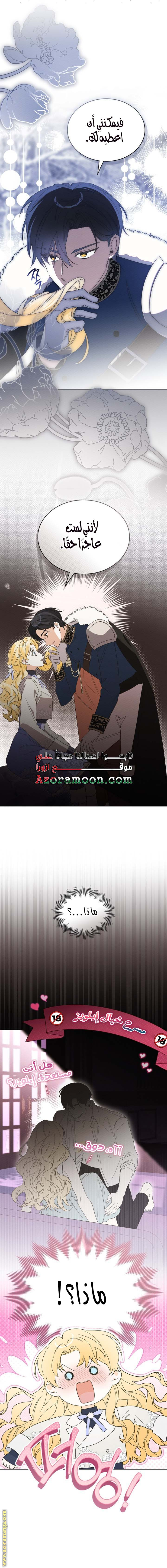 الصفحة 11