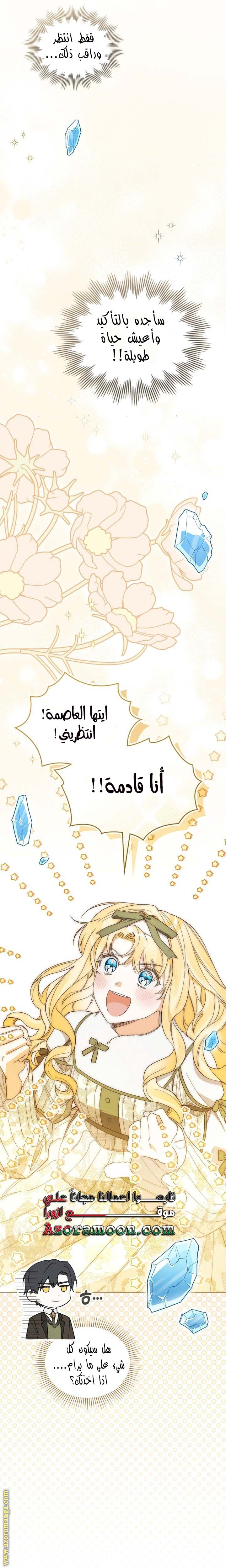 الصفحة 29