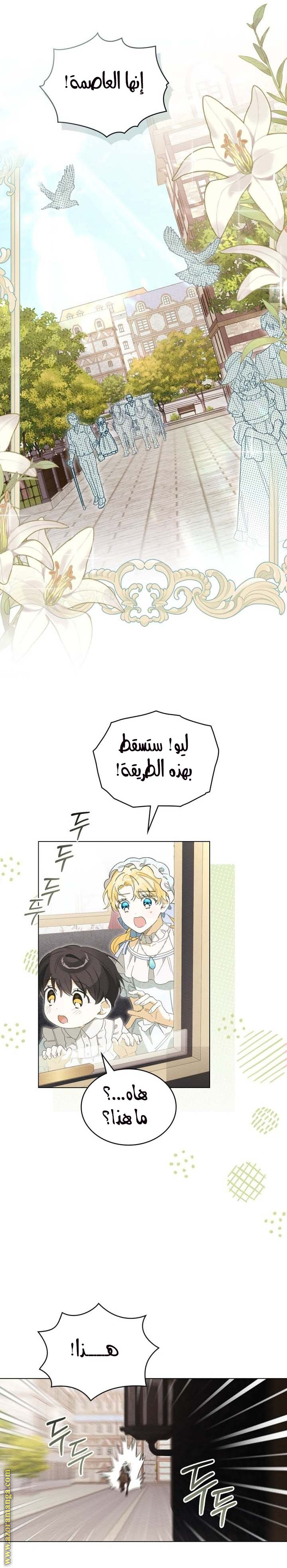 الصفحة 17