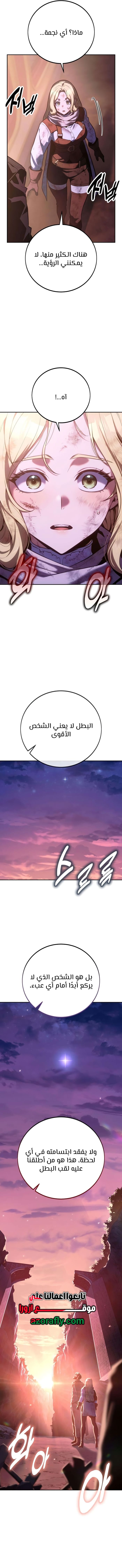 الصفحة 17