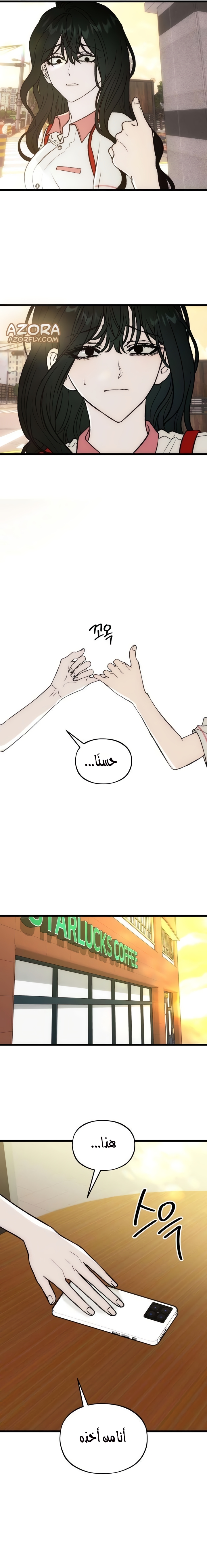 الصفحة 17