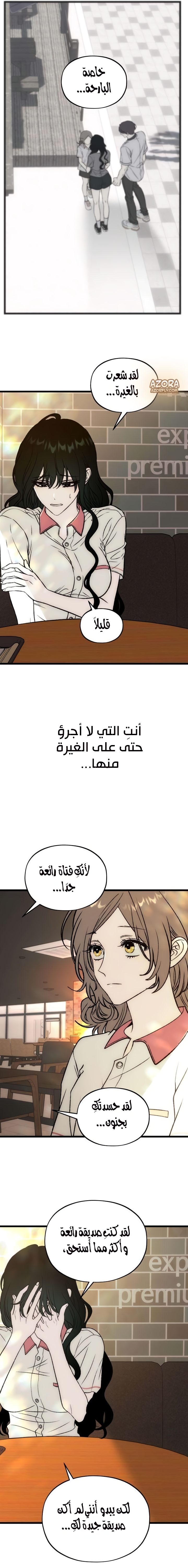 الصفحة 20