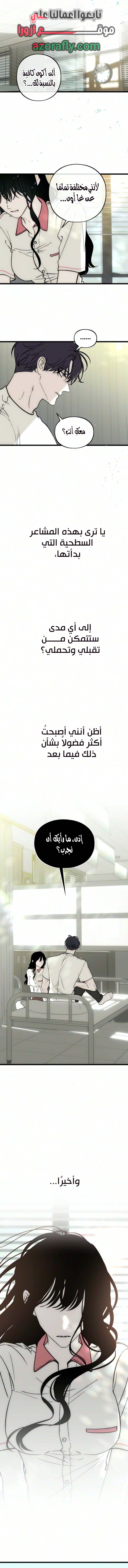 الصفحة 13