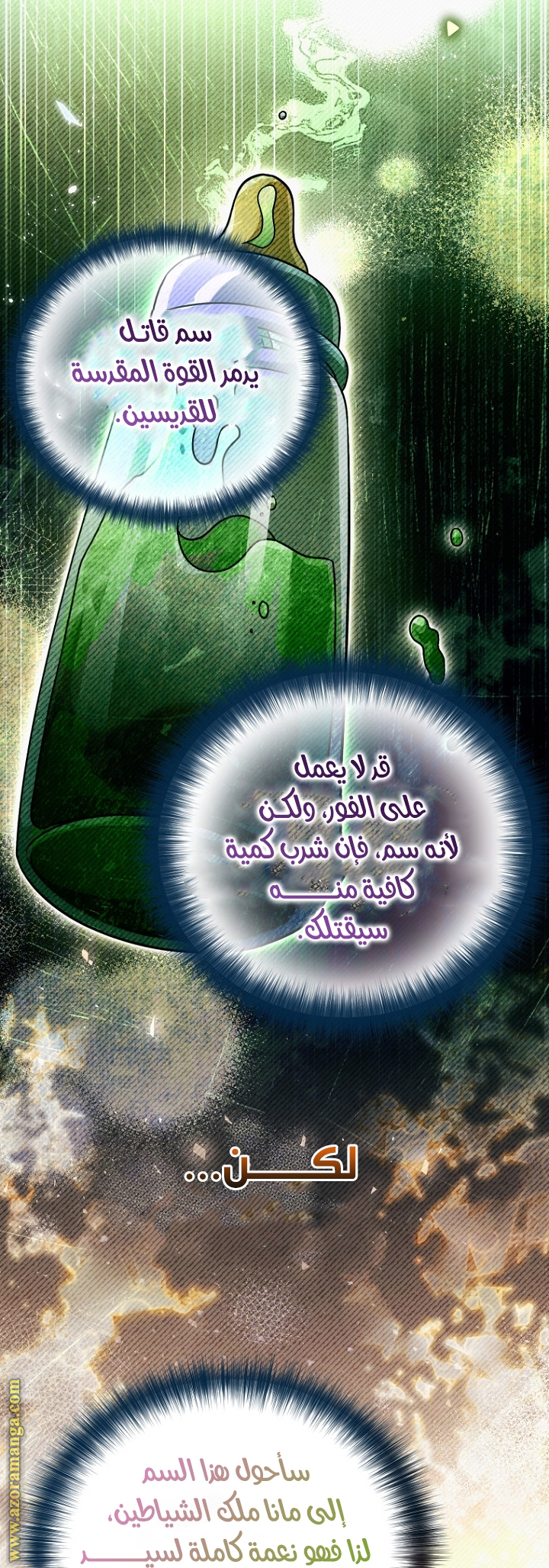 الصفحة 30