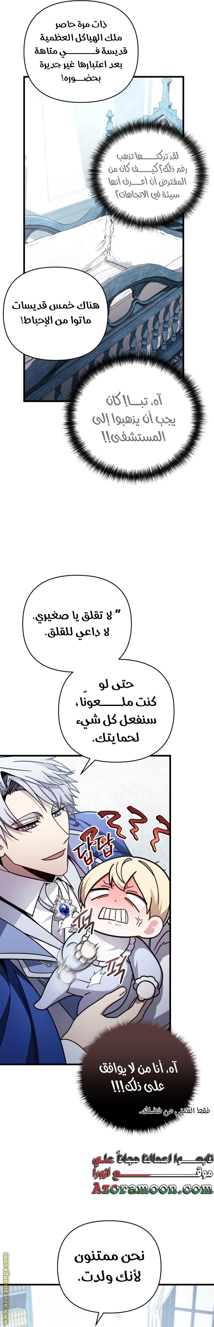 الصفحة 17