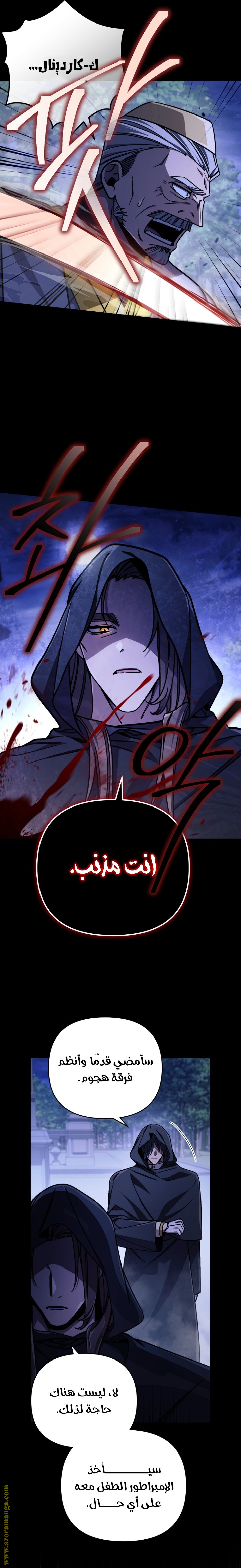 الصفحة 29